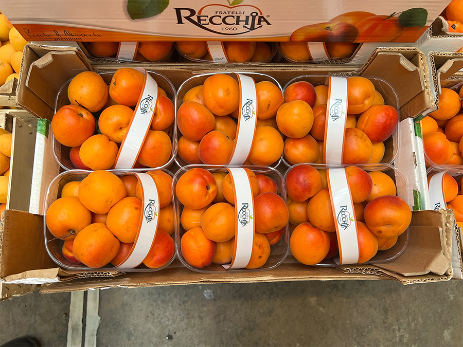 Albicocche, Italia, Cal. 45-50 - 2,10/2,30 euro al chilo